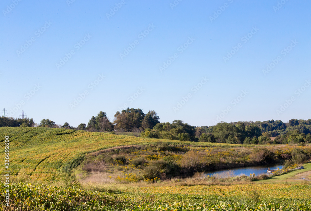 Farm Landscape Farm Landscape