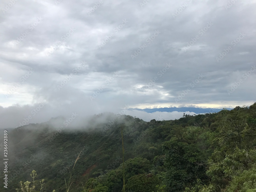 la niebla en la montaña