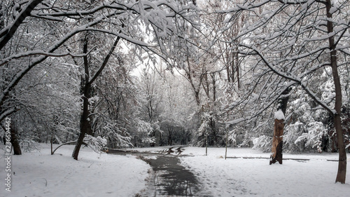 Wallpaper Mural Winter Landscape of South Park with snow covered trees in city of Sofia, Bulgaria Torontodigital.ca