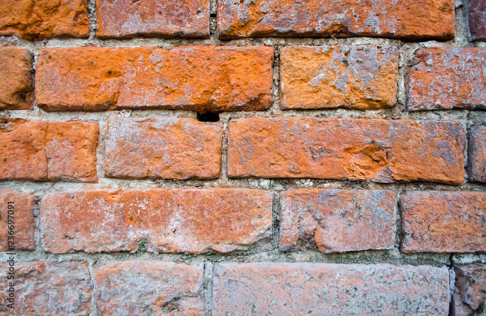 Obraz premium Old brick wall paid close. Background image