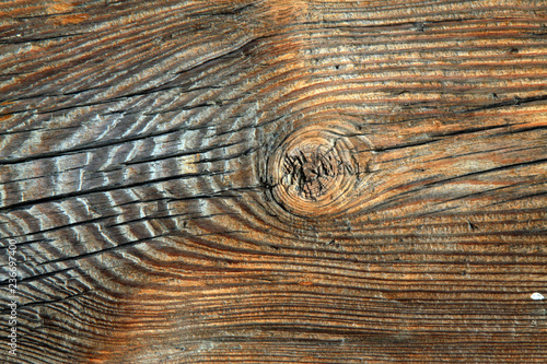 Woodiness grain