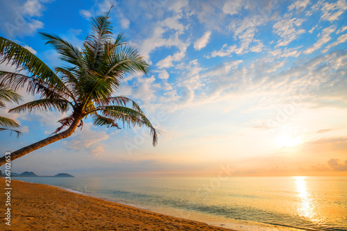 Fototapeta Naklejka Na Ścianę i Meble -  Seascape of beautiful tropical beach with palm tree at sunrise. sea view beach in summer background.