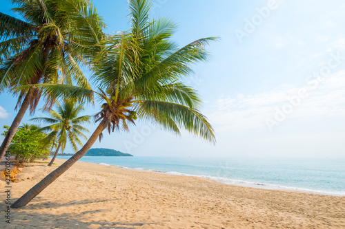 Beautiful landscape of coconut palm tree on tropical beach (seascape) in summer. Summer background concept. © jakkapan