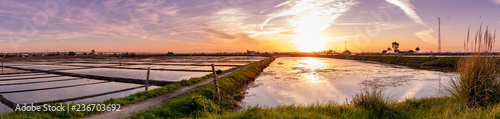 Salt flats of Aveiro at sunset photo