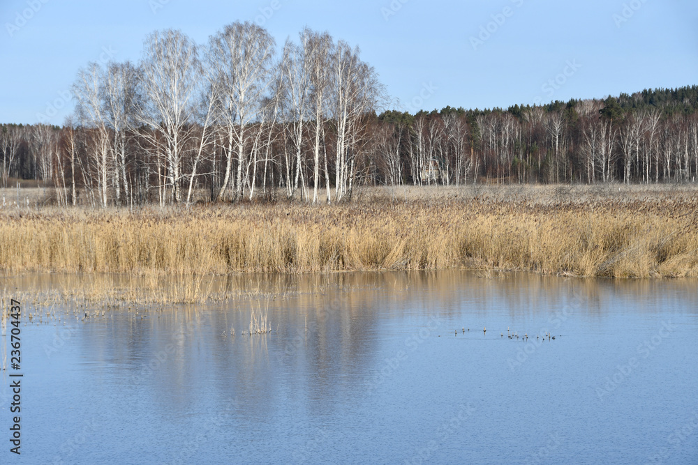 Natural monument - lake Uvildy in late autumn in clear weather, Chelyabinsk region. Russia Natural monument - lake Uvildy in late autumn in clear weather, Chelyabinsk region. Russia
