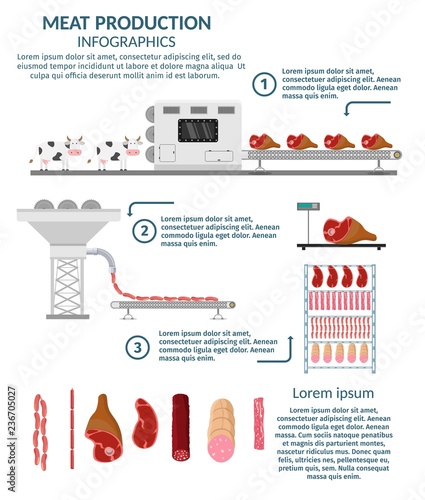 Meat and stakes automated factory production line process. Cow meat vector illustration.