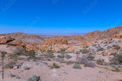 Joshua Tree National Park panorama, California USA. A desert with rock formations and distant mountain chain on horizon.