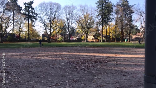 Woman walking dog with muzzle in park. photo