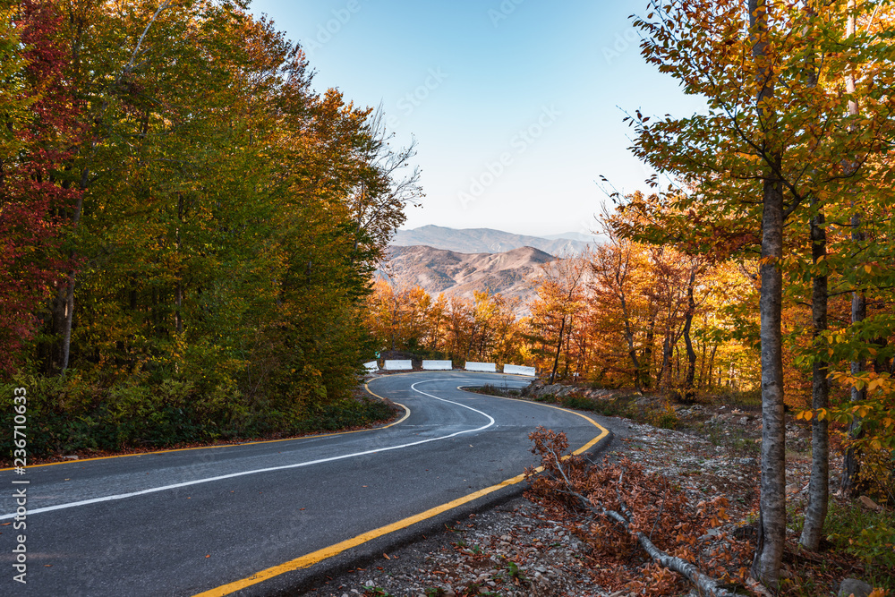 Winding road in the colorful autumn mountain forest