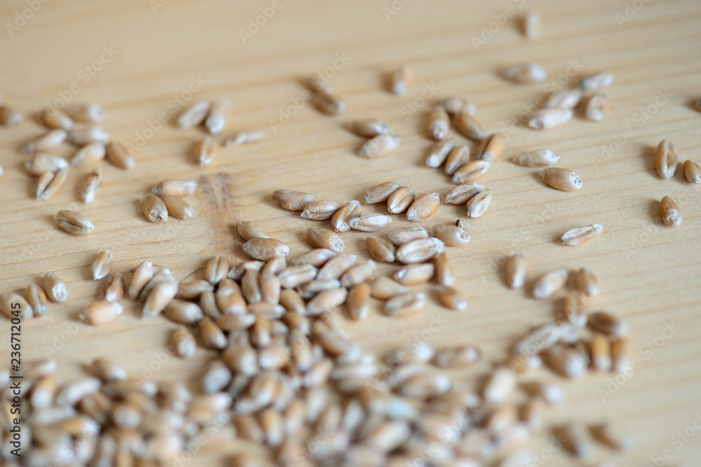Scattered wheat grains on wooden background close up Scattered wheat grains on wooden background close up