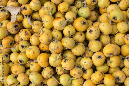 Wild fruit azarole, mediterranean medlar collected and sold in market photo