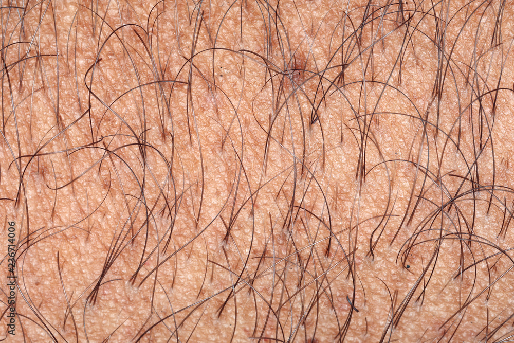 Peluria - particolare Peluria - particolare