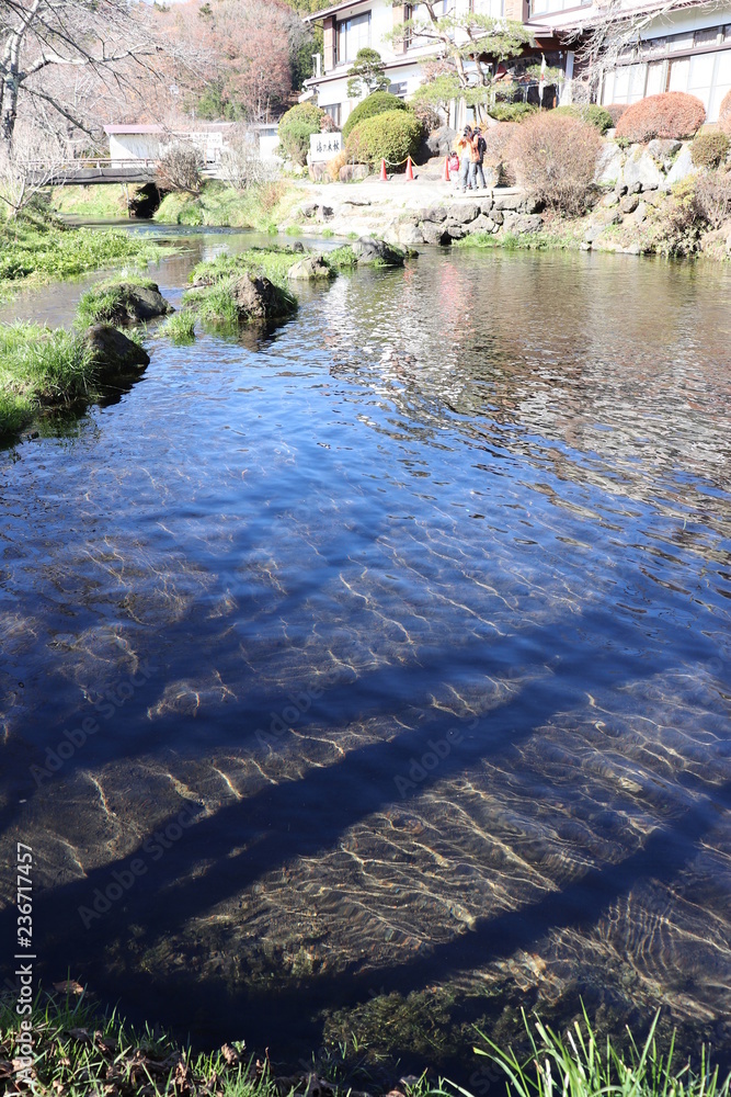 Naklejka premium 世界遺産・富士山の構成資産、忍野八海（濁池）