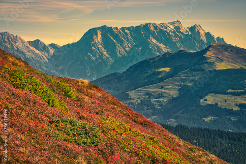 Autumn in the Alps
