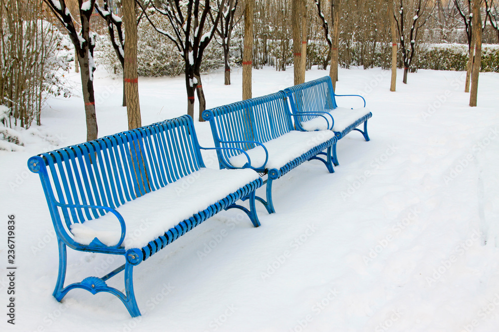 Metallic blue chairs in the snow