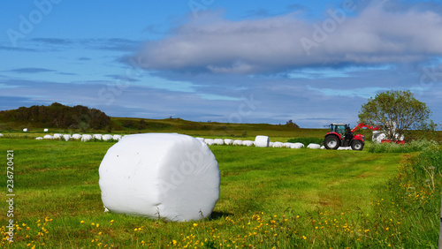 Bale of hay wrapped in plastic foil, Norway