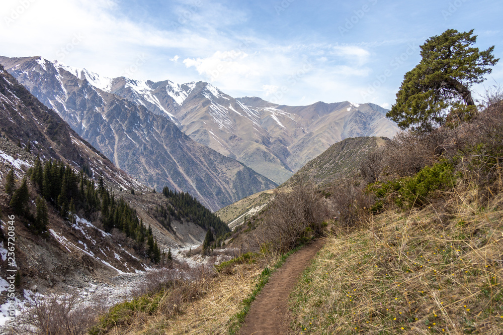 Scenic landscape in Ala Archa national park in Tian Shan mountain range, Kyrgyzstan