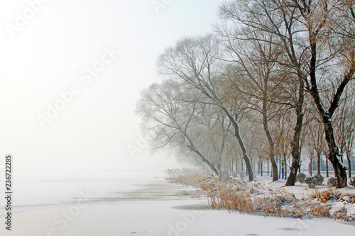Foto Rime natural landscape in north China