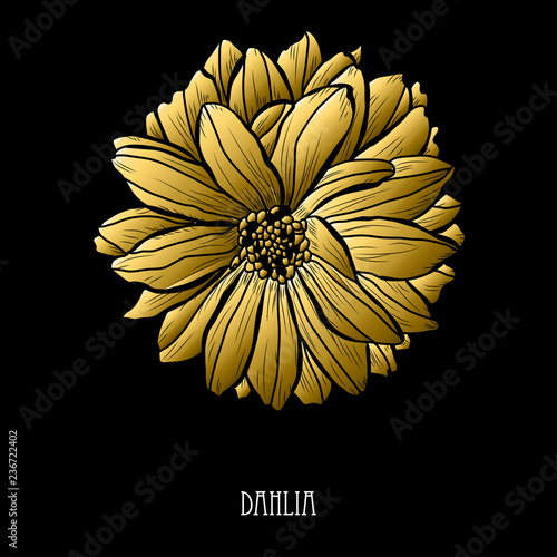 Fototapeta Naklejka Na Ścianę i Meble -  golden floral decoration