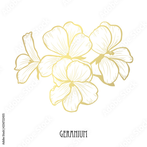 Fototapeta Naklejka Na Ścianę i Meble -  golden floral decoration