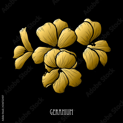 Fototapeta Naklejka Na Ścianę i Meble -  golden floral decoration