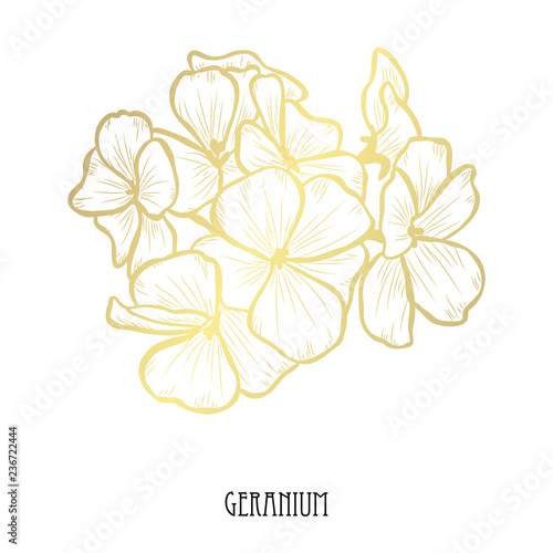 Fototapeta Naklejka Na Ścianę i Meble -  golden floral decoration