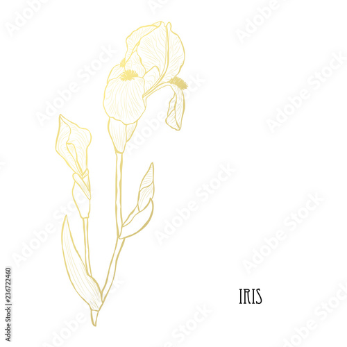 Fototapeta Naklejka Na Ścianę i Meble -  golden floral decoration