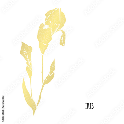 Fototapeta Naklejka Na Ścianę i Meble -  golden floral decoration