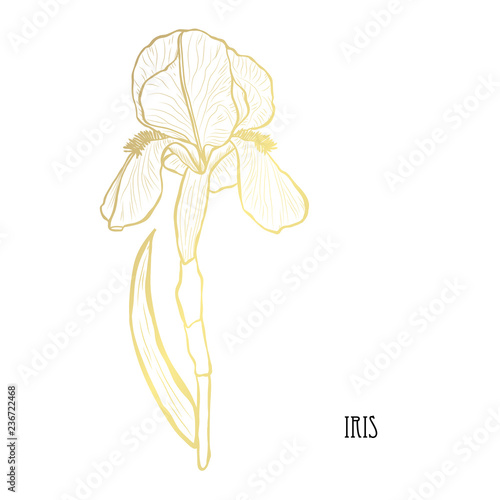 Fototapeta Naklejka Na Ścianę i Meble -  golden floral decoration