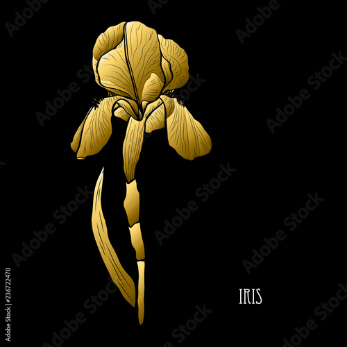 Fototapeta Naklejka Na Ścianę i Meble -  golden floral decoration