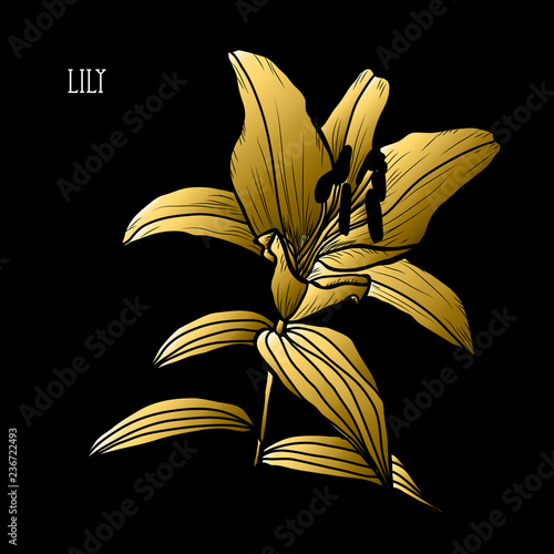 Fototapeta Naklejka Na Ścianę i Meble -  golden floral decoration