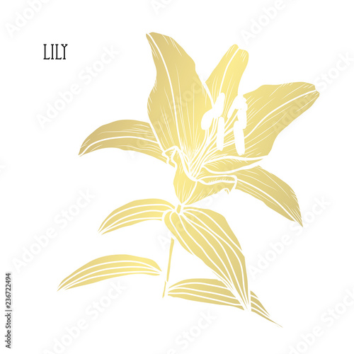 Fototapeta Naklejka Na Ścianę i Meble -  golden floral decoration