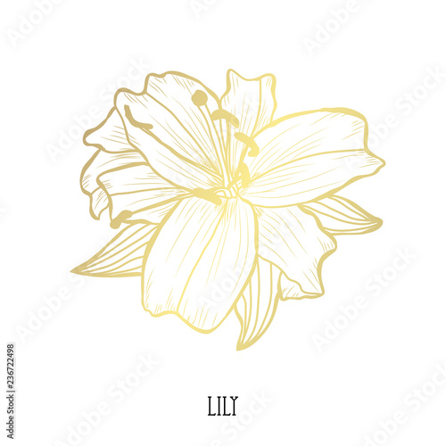 Fototapeta Naklejka Na Ścianę i Meble -  golden floral decoration