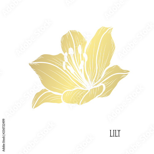 Fototapeta Naklejka Na Ścianę i Meble -  golden floral decoration