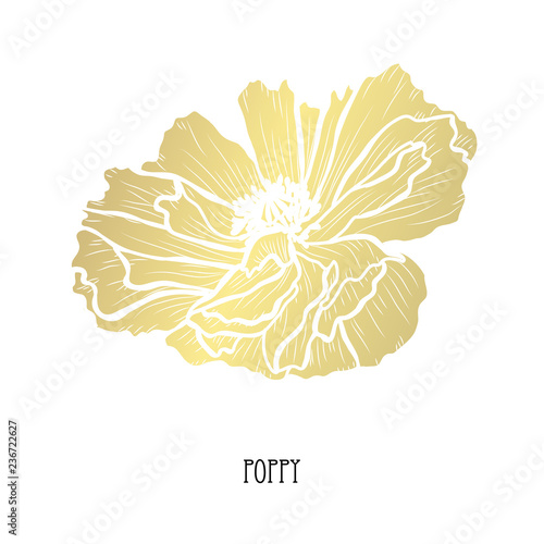 Fototapeta Naklejka Na Ścianę i Meble -  golden floral decoration