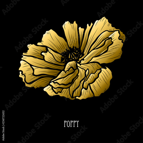 Fototapeta Naklejka Na Ścianę i Meble -  golden floral decoration