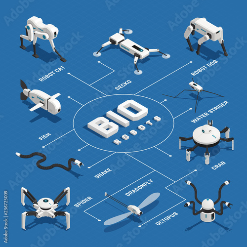 Bio Robots Isometric Flowchart