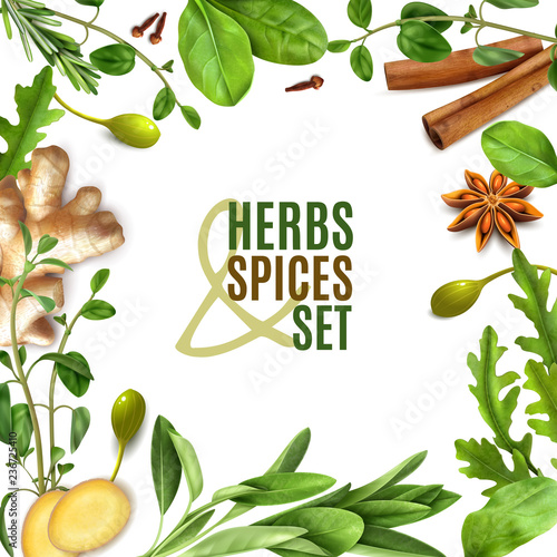 Herbs Realistic Frame
