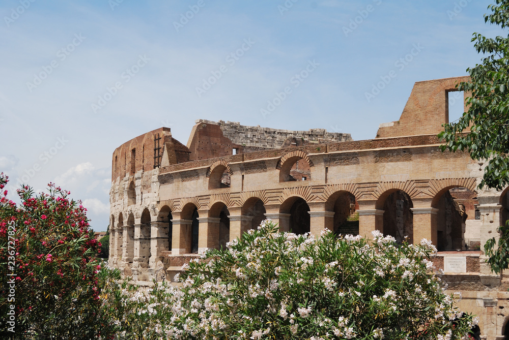 View of Colosseum - Rome, Italy.