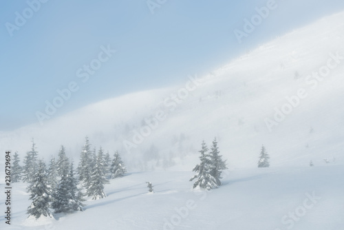 Nasty winter weather in the mountains © Oleksandr Kotenko