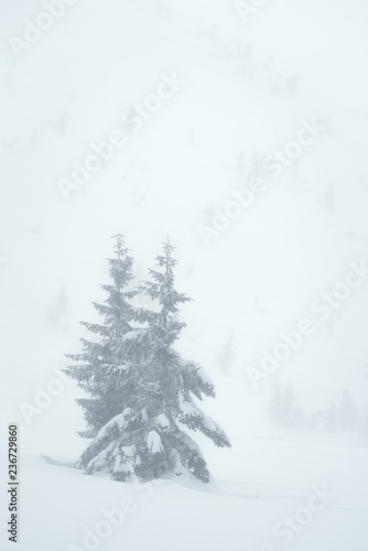 Winter natural background with snow white view