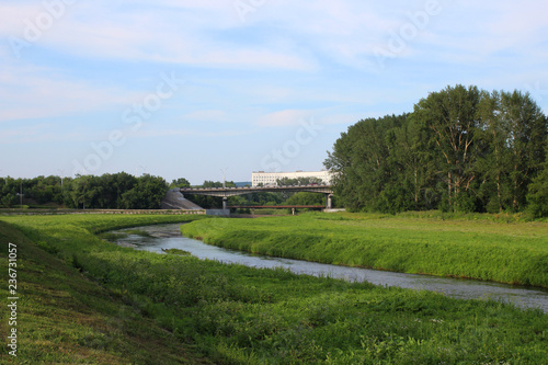 landscape with road and trees