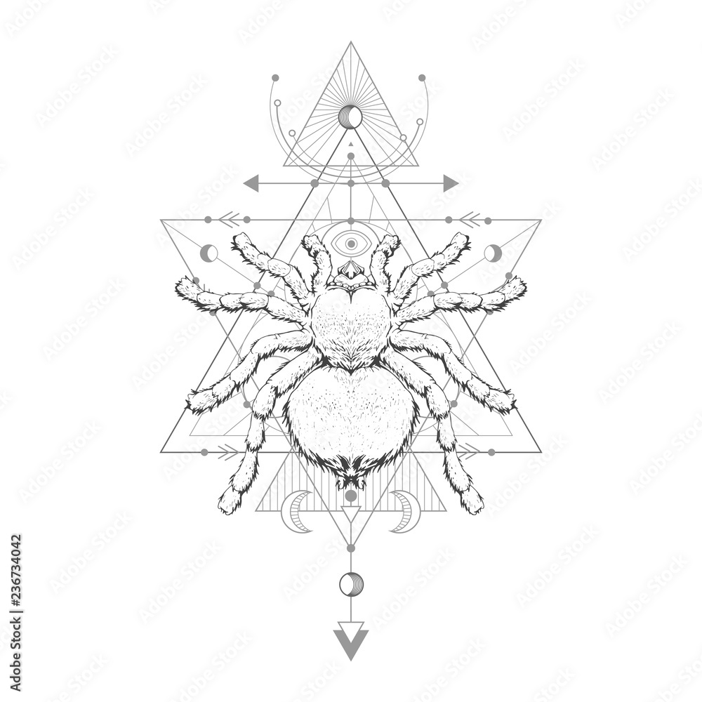Vector illustration with hand drawn spider tarantula and Sacred geometric symbol on white background. Abstract mystic sign. Vector illustration with hand drawn spider tarantula and Sacred geometric symbol on white background. Abstract mystic sign.