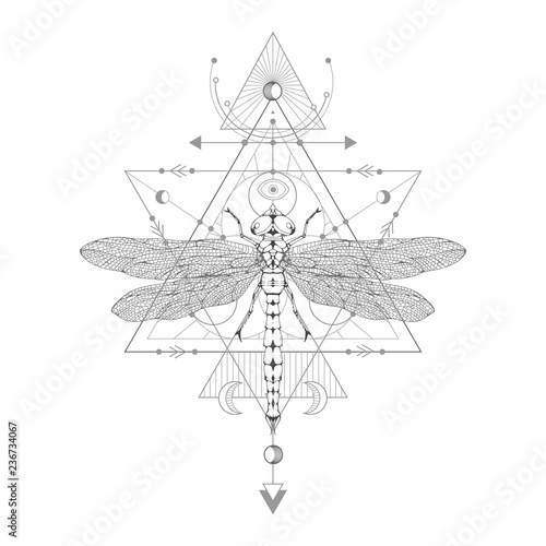 Vector illustration with hand drawn dragonfly and Sacred geometric symbol on white background. Abstract mystic sign.