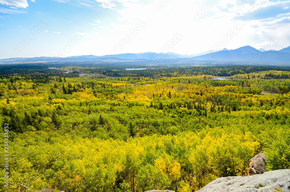 秋のカナディアンロッキー　ヤムナスカ山の麓の黄葉（カナダ・アルバータ州）