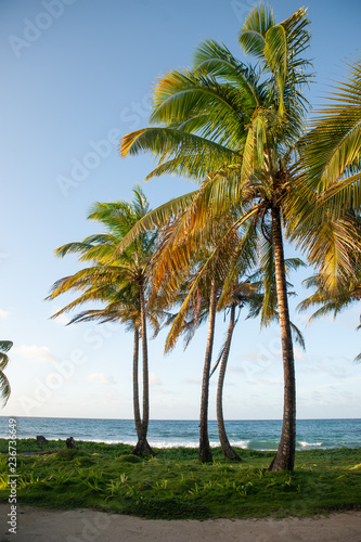 K  ste von Big Corn Island  Nicaragua