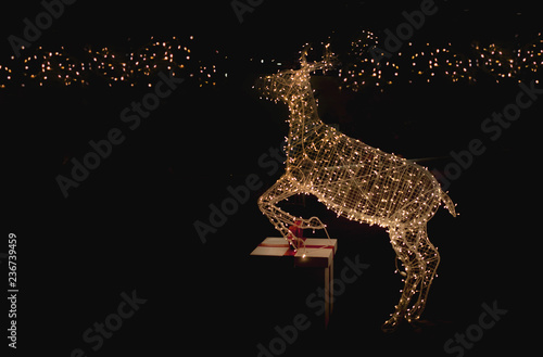 night christmas bulp like deer shape decoration