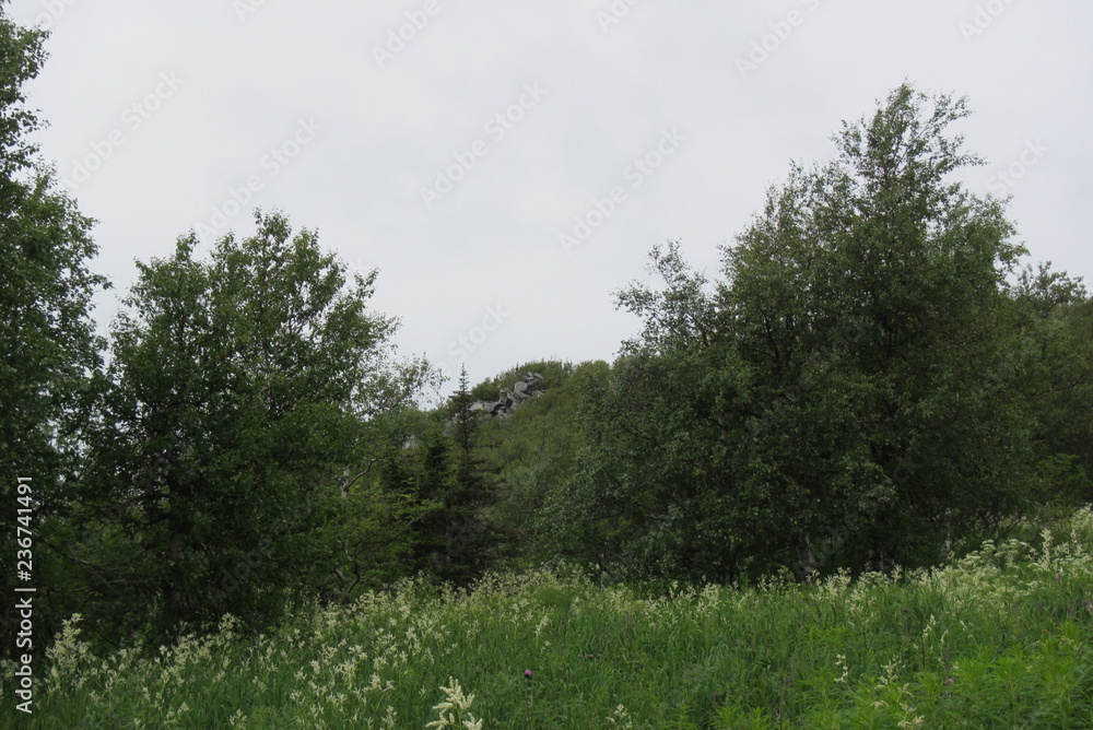 Obraz premium Nature Travel Landscape