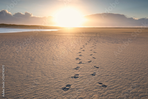 walking on beach to sun