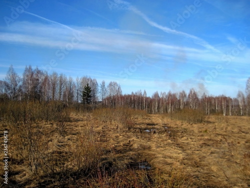 Spring nature, after melting snow, in the middle of April on a sunny day. Excellent illustration of the natural, environmental.